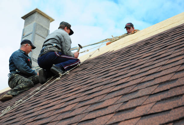 Best Roof Gutter Cleaning  in Weaverville, NC
